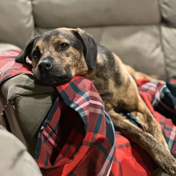 Meet your Posher, Gina - Picture 5 of 11